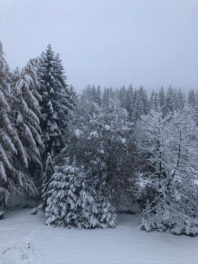Le Chalet Du Narouel Gerardmer Ngoại thất bức ảnh